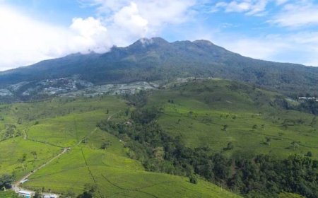 Destinasi Seru Liburan di Ngawi Jawa Timur