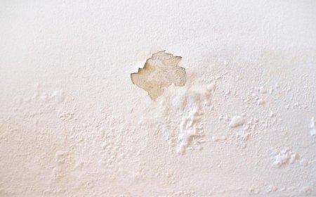 Cara Mengatasi Tembok Lembab dan Mengelupas