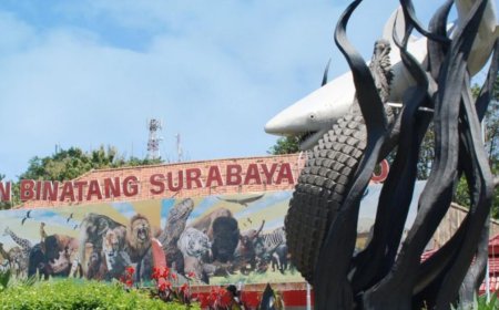 Liburan Keluarga yang Menyenangkan di Kebun Binatang Surabaya