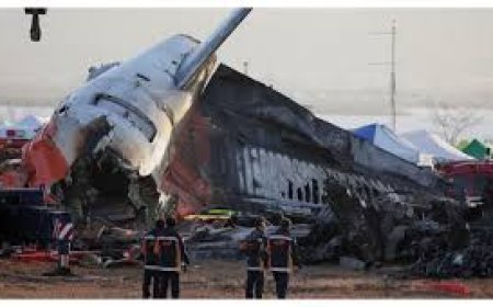 3 Fakta Terbaru Kecelakaan Pesawat Jeju Air di Korsel, Sudah Terbang 13 Kali dalam 48 Jam