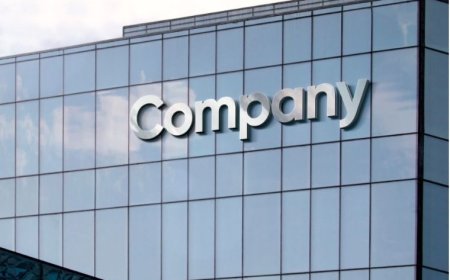 Perbedaan PT Biasa dan PT Perorangan